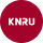 knru ico