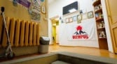 Фото-анонс объекта Большеохтинский пр-кт, 15к1 № 6 | KNRU.ru