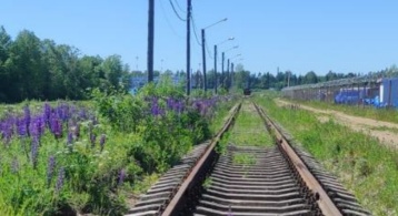 Лесное зона фото 4 / KNRU.ru