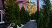 Фото-анонс объекта Ольгино, Коннолахтинский пр. д.27 № 16 | KNRU.ru