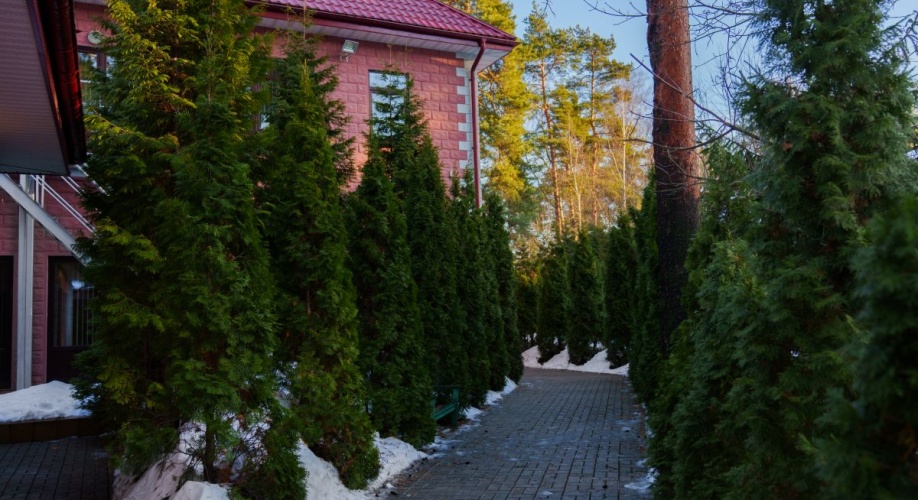 Фото объекта Ольгино, Коннолахтинский пр. д.27 № 16 | KNRU.ru