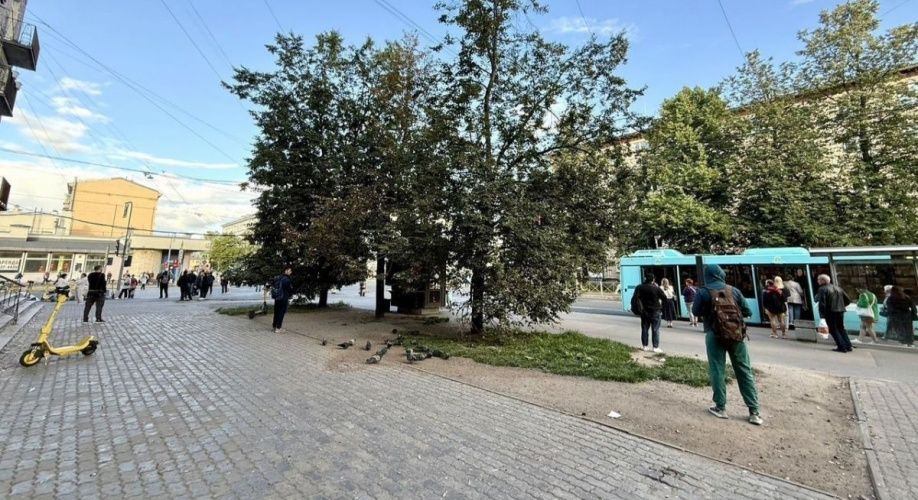 Фото объекта Елизарова пр-кт, д.15 № 8 | KNRU.ru