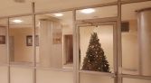 Фото-анонс объекта Большой Сампсониевский пр. д.4-6 № 15 | KNRU.ru