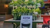 Фото-анонс объекта пр. Обуховской Обороны д.38 № 11 | KNRU.ru