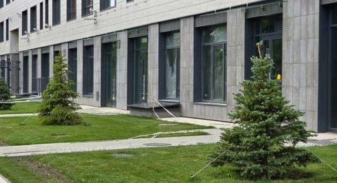 ул. Академика Константинова фото 2 / KNRU.ru