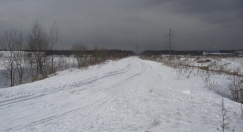 Восточный пер фото 2 / KNRU.ru