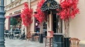 Фото-анонс объекта Большой П.С. пр-кт, 18 № 8 | KNRU.ru