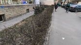 Фото-анонс объекта Крестьянский пер. д.4 № 18 | KNRU.ru