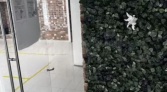 Фото-анонс объекта Бармалеева ул. д.3 № 13 | KNRU.ru