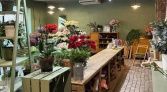 Фото-анонс объекта Суворовский пр-кт, д.53 № 4 | KNRU.ru