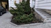 Фото-анонс объекта Крестьянский пер. д.4 № 16 | KNRU.ru