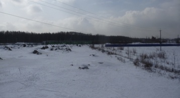 Восточный пер фото 0 / KNRU.ru