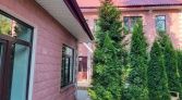 Фото-анонс объекта Ольгино, пр. Коннолахтинский, д.27 № 2 | KNRU.ru