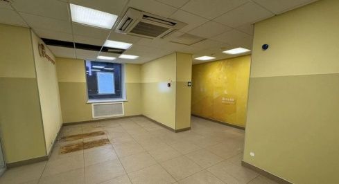Богатырский пр. 51к1 фото 4 / KNRU.ru