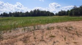 Фото-анонс объекта Паровозная, 29 № 1 | KNRU.ru