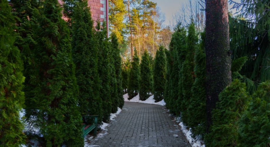 Фото объекта Ольгино, Коннолахтинский пр. д.27 № 17 | KNRU.ru