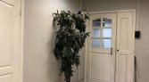 Фото-анонс объекта Межевой канал ул № 5 | KNRU.ru