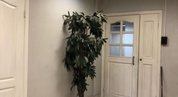Межевой канал ул фото 4 / KNRU.ru