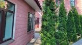 Фото-анонс объекта Ольгино, пр. Коннолахтинский, д.27 № 2 | KNRU.ru